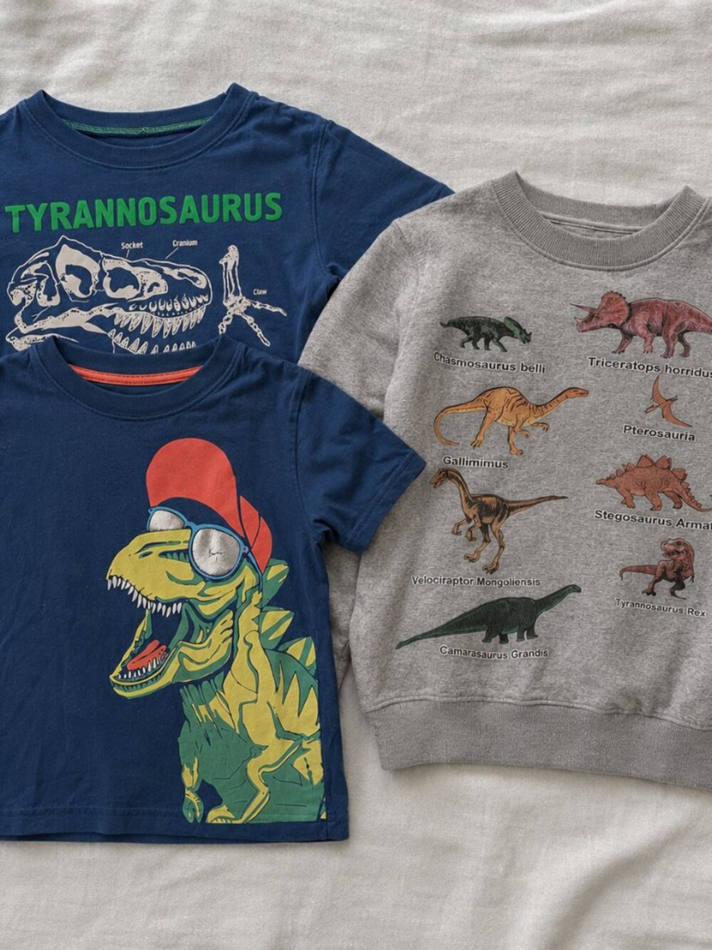 Boys Dinosaur Clothing Bundle Size 5/6